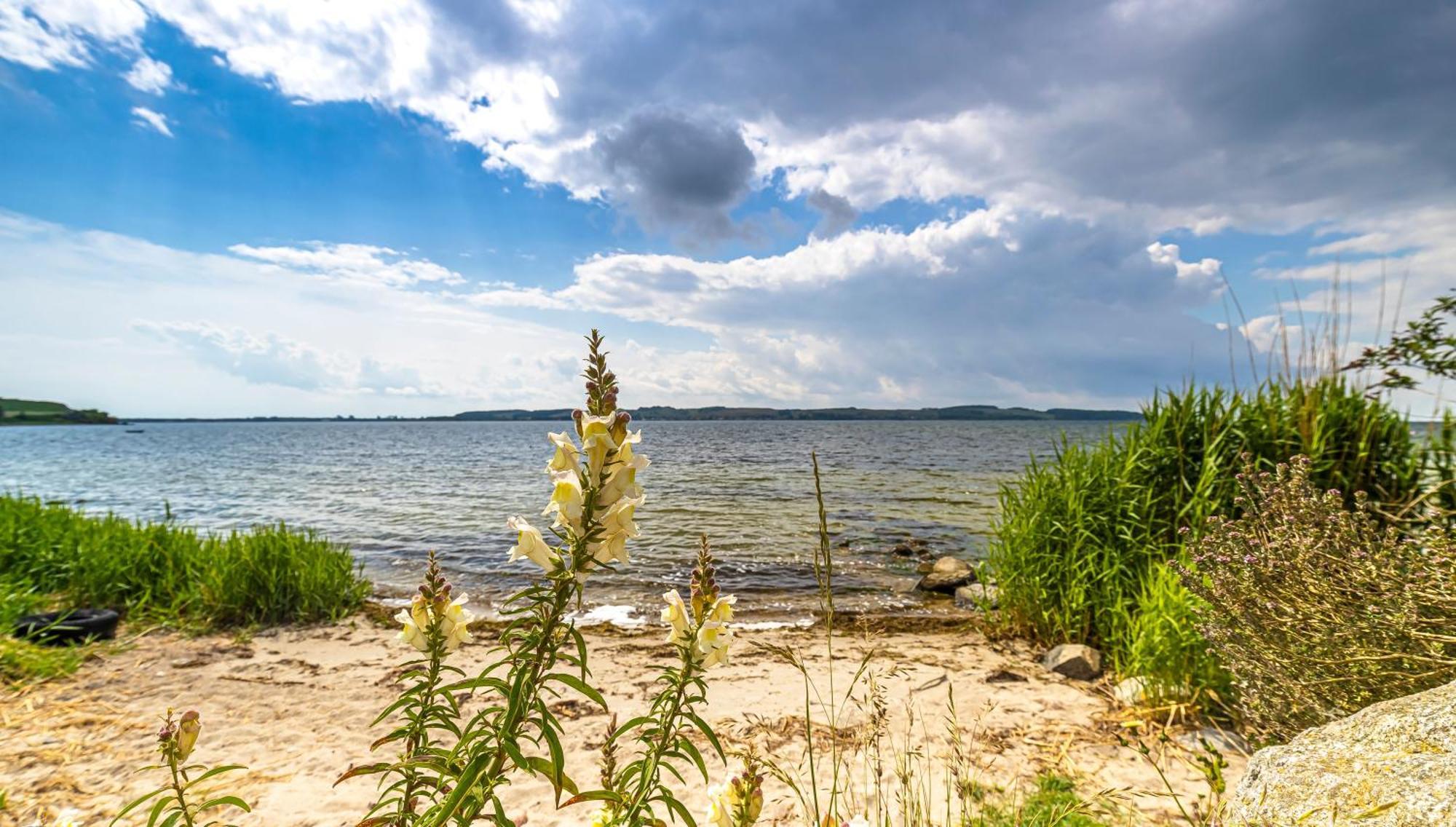 Haus Seeblick Mit 9 Wohnungen Alt Reddevitz ภายนอก รูปภาพ