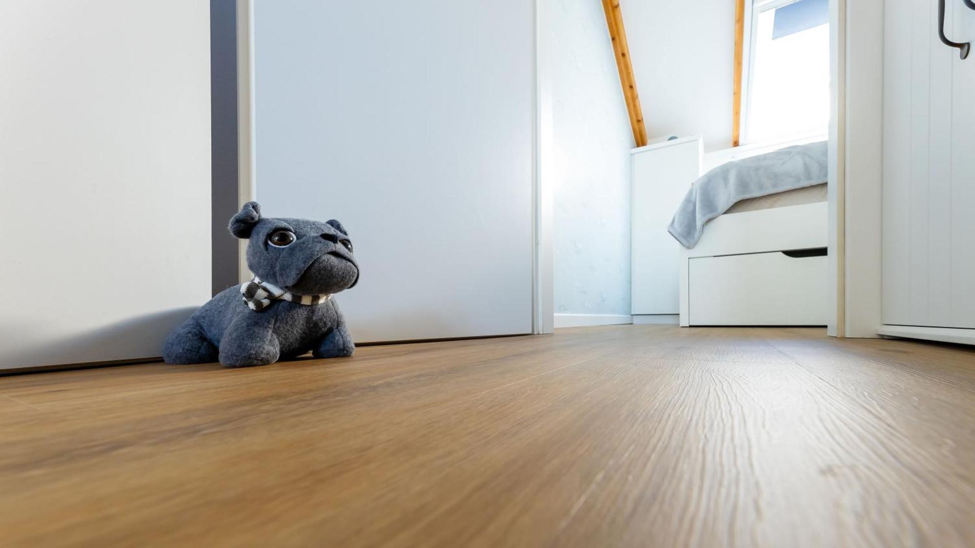 Haus Seeblick Mit 9 Wohnungen Alt Reddevitz ภายนอก รูปภาพ