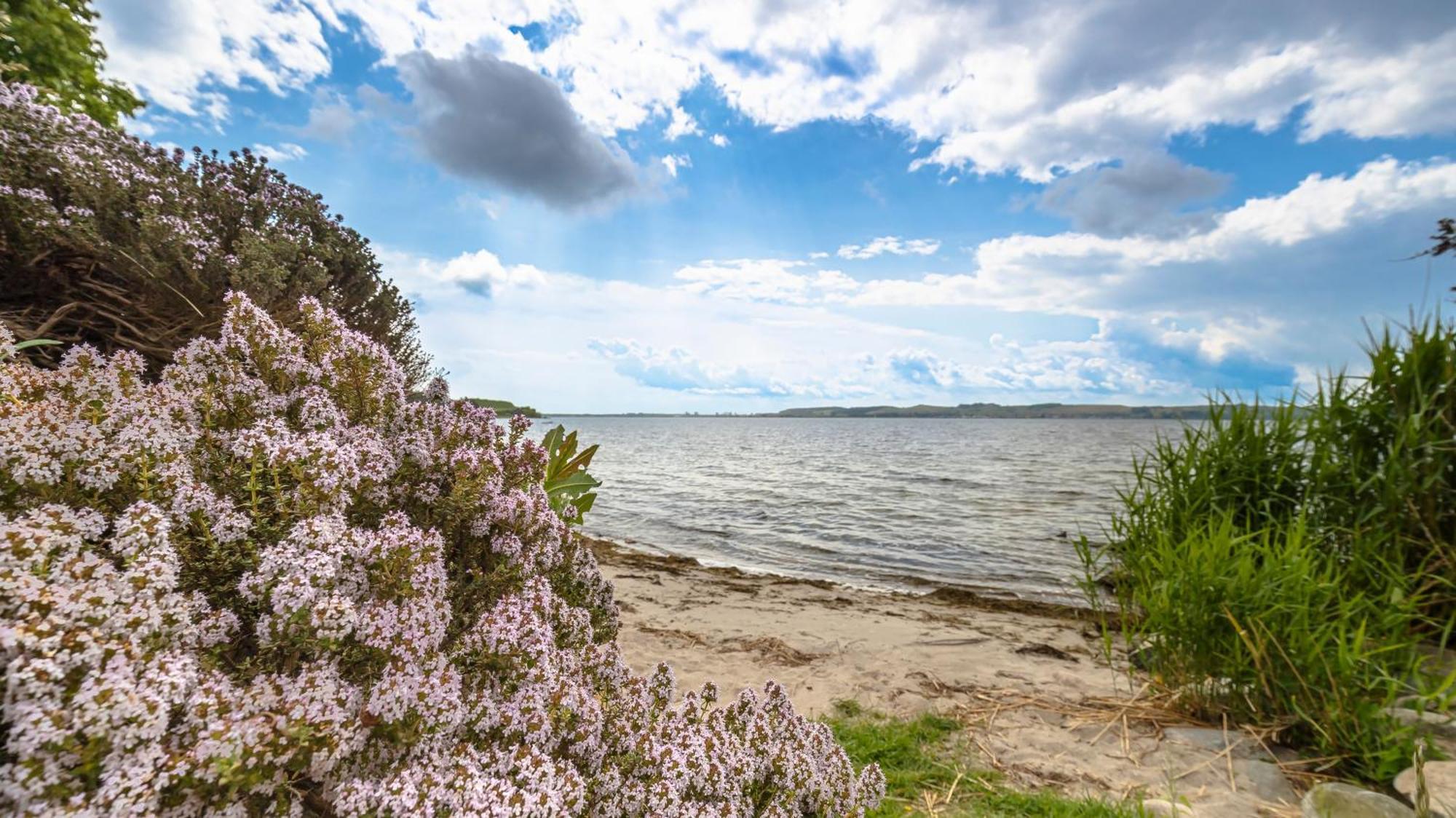 Haus Seeblick Mit 9 Wohnungen Alt Reddevitz ภายนอก รูปภาพ