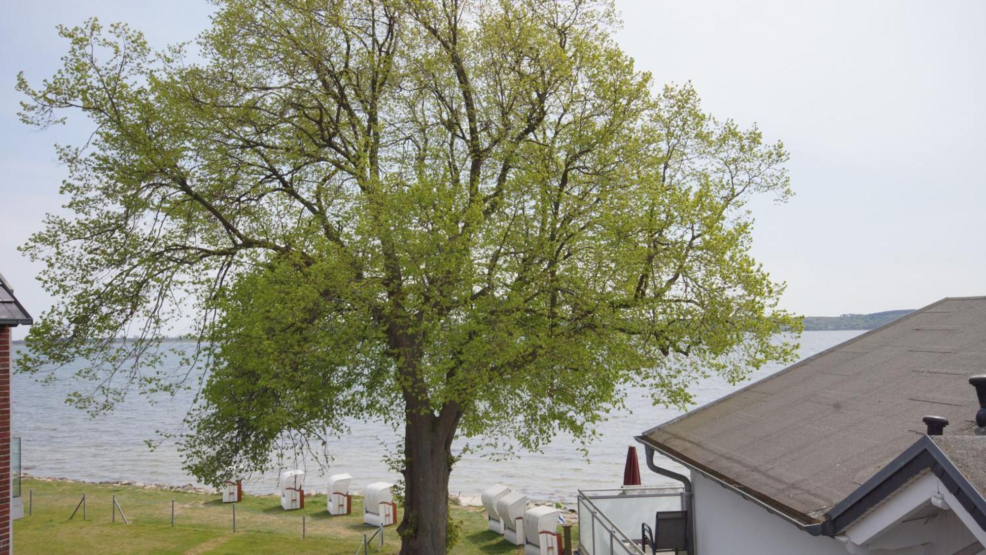 Haus Seeblick Mit 9 Wohnungen Alt Reddevitz ภายนอก รูปภาพ